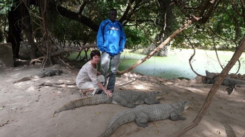 Gambia excursies bezienswaardigheden krokodile pool